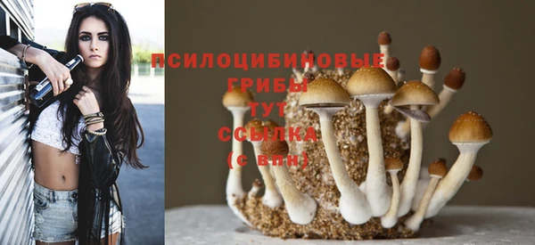 ешки Беломорск