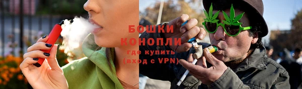 соль ск Белокуриха