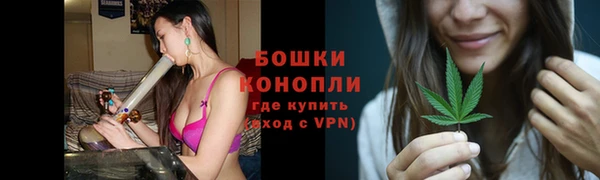 соль ск Белокуриха
