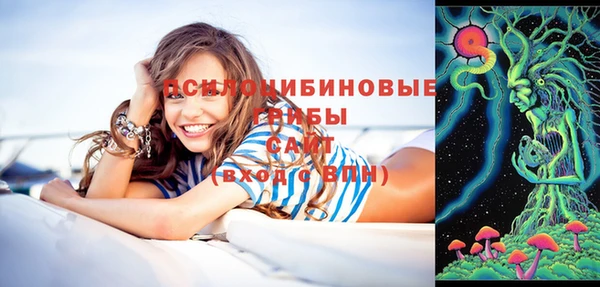 соль ск Белокуриха