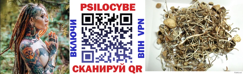 Галлюциногенные грибы мицелий  Пионерский 