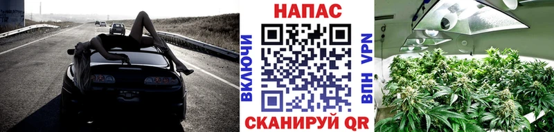 мега вход  Пионерский  Марихуана THC 21% 
